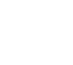 FGE-icon-2