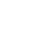FGE-icon-4